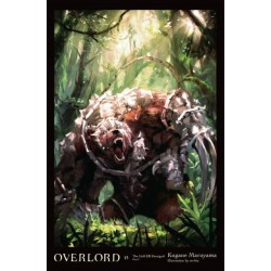 Overlord, Vol. 15 (light novel)
