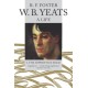 W. B. Yeats, A Life I: The Apprentice Mage 1865-1914