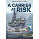 A A Carrier at Risk: Argentinean Aircraft Carrier and Anti-Submarine Operations against Royal Navy’s Attack Submarines during the Falklands/Malvinas War, 1982