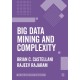 Big Data Mining and Complexity