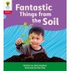 Oxford Reading Tree: Floppy's Phonics Decoding Practice: Oxford Level 4: Fantastic Things from the Soil