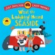 What the Ladybird Heard at the Seaside: A laugh-out-loud rhyming adventure