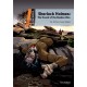 Dominoes: Level 2: Sherlock Holmes: The Hound of the Baskervilles