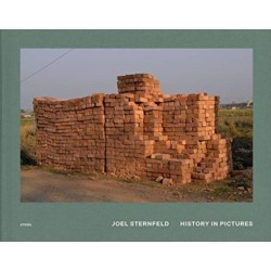 Joel Sternfeld: History in Pictures