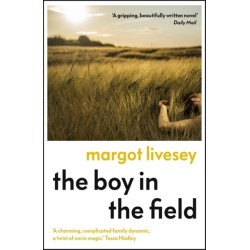 The Boy in the Field: 'A superb family drama' DAILY MAIL