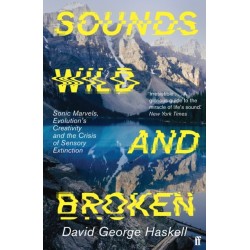 Sounds Wild and Broken