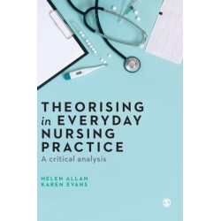 Theorising in Everyday Nursing Practice: A Critical Analysis