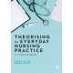 Theorising in Everyday Nursing Practice: A Critical Analysis