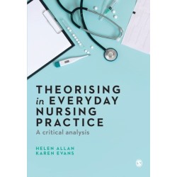 Theorising in Everyday Nursing Practice: A Critical Analysis