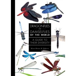 Dragonflies and Damselflies of the World: A Guide to Their Diversity