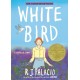 White Bird: A Wonder Story (A Graphic Novel)