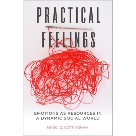 Practical Feelings: Emotions as Resources in a Dynamic Social World