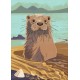 Nature Notebook: Otter