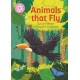 Reading Champion: Animals That Fly: Independent Reading Pink 1B Non-fiction