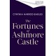 The Fortunes of Ashmore Castle: A captivating period drama for 2025 perfect for fans of Downton Abbey and The Gilded Age