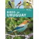 Birds of Uruguay