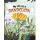 My Life as a Dandelion