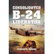 Consolidated B-24 Liberator