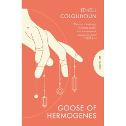 Goose of Hermogenes