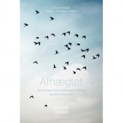 Afhægtet: Mennesker med udviklingshandicap og deres levevilkår