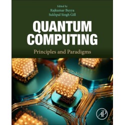 Quantum Computing: Principles and Paradigms