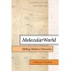 Molecular World: Making Modern Chemistry