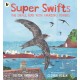 Super Swifts: The Small Bird With Amazing Powers