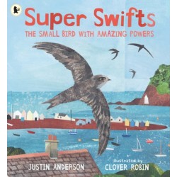 Super Swifts: The Small Bird With Amazing Powers