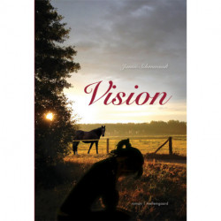 Vision