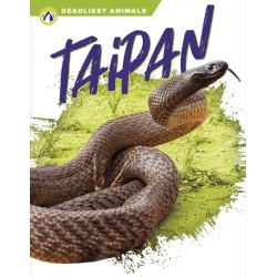 Taipan