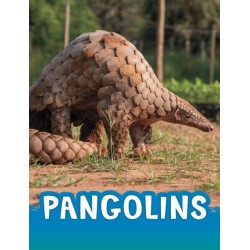 Pangolins