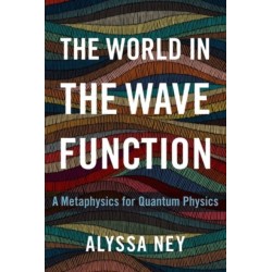 The World in the Wave Function: A Metaphysics for Quantum Physics