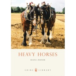 Heavy Horses