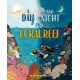 A Day and Night: On a Coral Reef