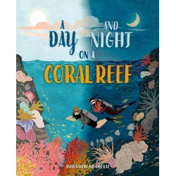 A Day and Night: On a Coral Reef