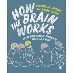 How the Brain Works: What Psychology Students Need to Know