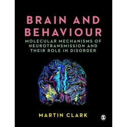 Brain and Behaviour: Molecular Mechanisms of Neurotransmission and their Role in Disorder