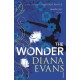 The Wonder