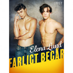 Farligt begär - erotisk novell