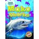 Mako Sharks