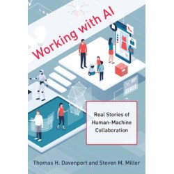 Working with AI: Real Stories of Human-Machine Collaboration