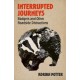 Interrupted Journeys: Badgers and Other Roadside Distractions