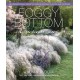 Foggy Bottom: A Garden To Share