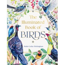 The Illuminated Book of Birds