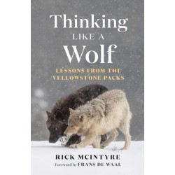 Thinking Like a Wolf: Lessons From the Yellowstone Packs
