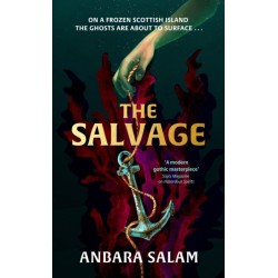 The Salvage: ‘A gothic tale with a powerful sense of place and an eerie atmosphere’ Sunday Times
