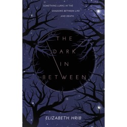 The Dark In-Between