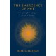 The The Emergence of Awe: Reimagining Human Progress for the 21st Century