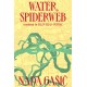 Water, Spiderweb