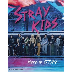 Stray Kids: Here to STAY